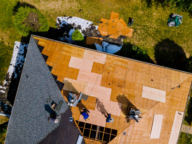 Best Storm Damage Roof Repair  in Waldo, FL